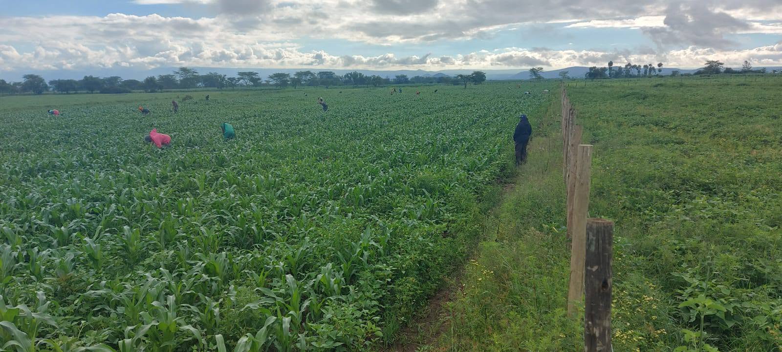 Farming & Agriculture